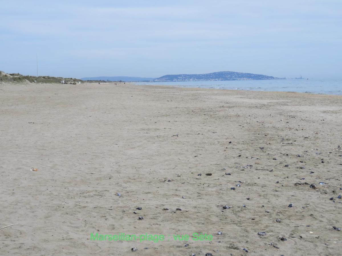 Horte Neuve Marseillan  Esterno foto